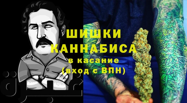 шишки Балахна