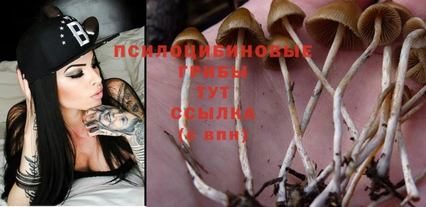 ешки Баксан