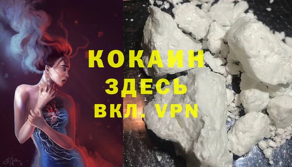 шишки Балахна
