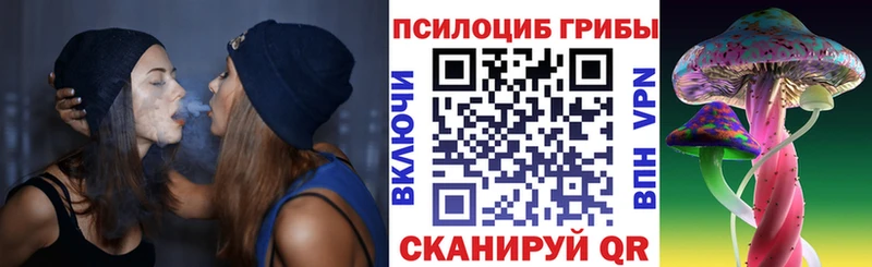 Псилоцибиновые грибы мухоморы  где найти наркотики  Вилючинск 